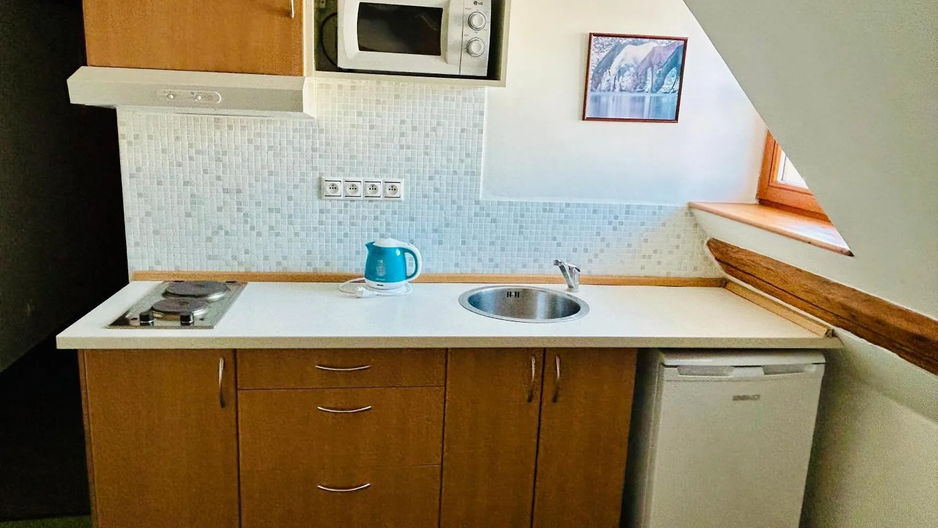*** Pensjonat Hotel Dvur Stran & Wellness Karlowe Wary Czechy
