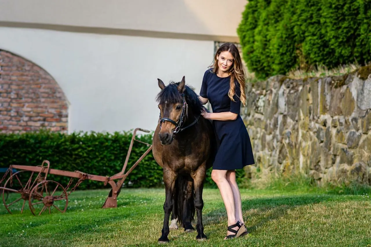 Guest house Dvur Stran & Wellness Hotel Karlovy Vary